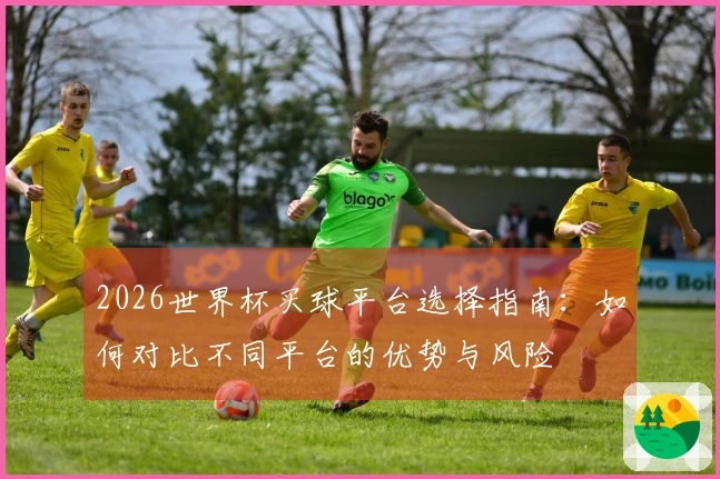 2026世界杯买球平台选择指南：如何对比不同平台的优势与风险