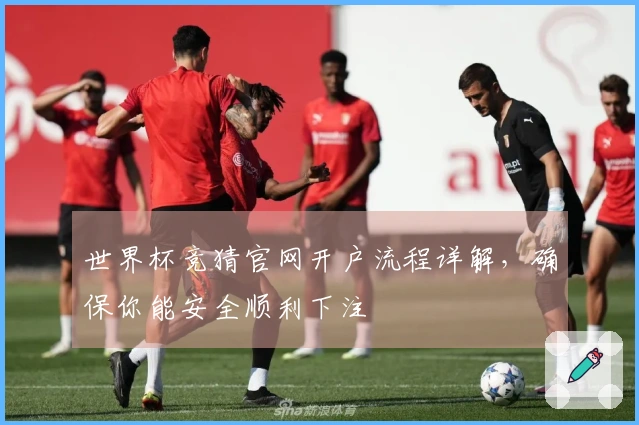 世界杯竞猜官网开户流程详解，确保你能安全顺利下注