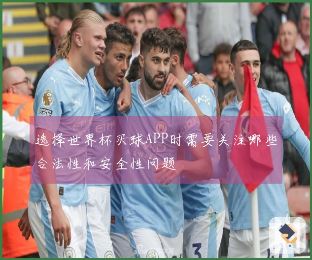 选择世界杯买球APP时需要关注哪些合法性和安全性问题