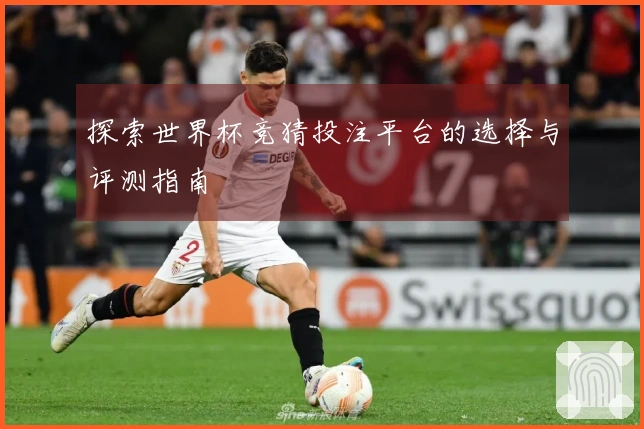 探索世界杯竞猜投注平台的选择与评测指南