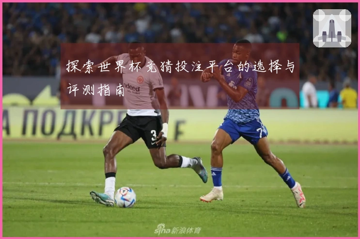 探索世界杯竞猜投注平台的选择与评测指南