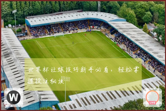 世界杯让球技巧新手必看，轻松掌握投注秘诀