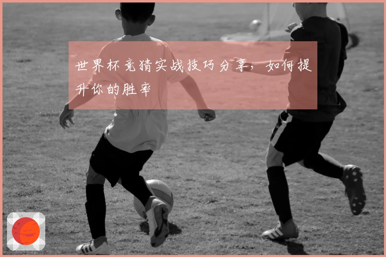 世界杯竞猜实战技巧分享,如何提升你的胜率