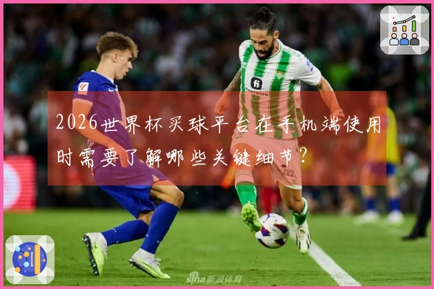 2026世界杯买球平台在手机端使用时需要了解哪些关键细节？